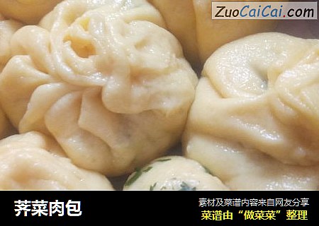 荠菜肉包