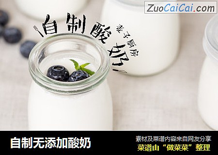 自制无添加酸奶