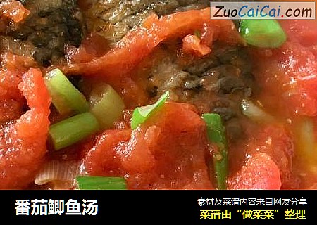 番茄鲫鱼汤