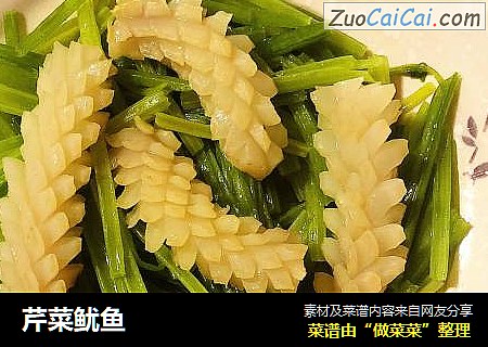 芹菜鱿鱼