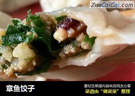 章鱼饺子