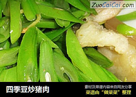 四季豆炒猪肉