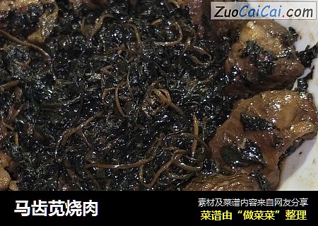 马齿苋烧肉