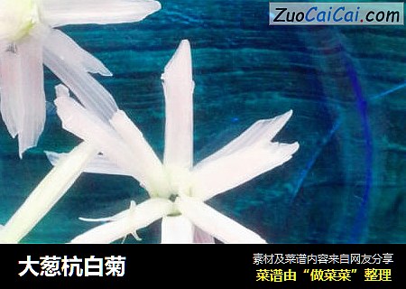 大葱杭白菊
