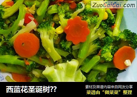 西蓝花圣诞树??