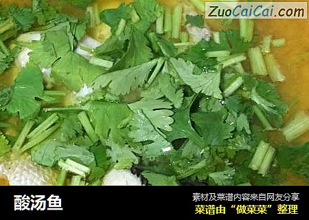 酸汤鱼