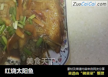 红烧太阳鱼