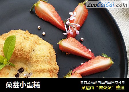 桑葚小蛋糕
