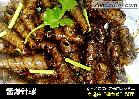 酱爆针螺