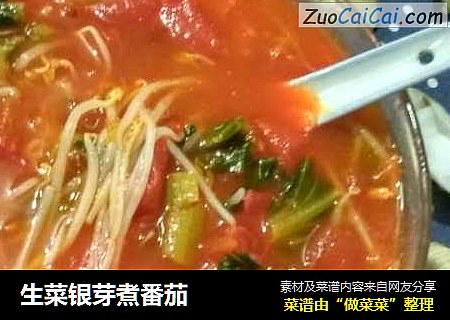 生菜银芽煮番茄