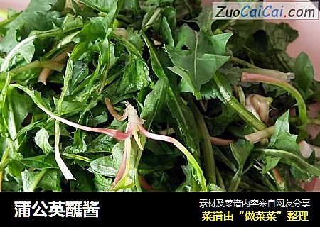 蒲公英蘸酱