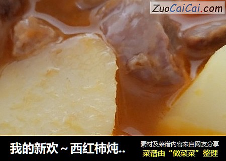 我的新欢～西红柿炖牛腩
