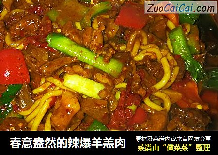 春意盎然的辣爆羊羔肉