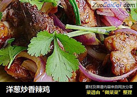 洋葱炒香辣鸡