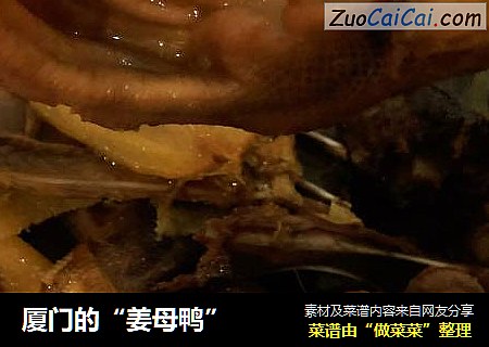 厦门的“姜母鸭”