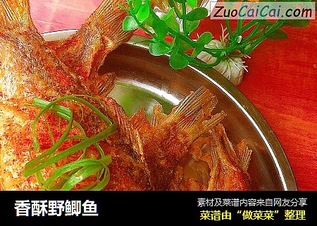 香酥野鲫鱼