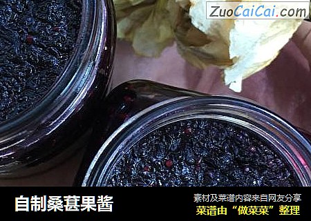 自制桑葚果酱