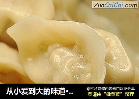 从小爱到大的味道·茴香猪肉饺