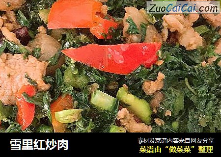 雪里红炒肉