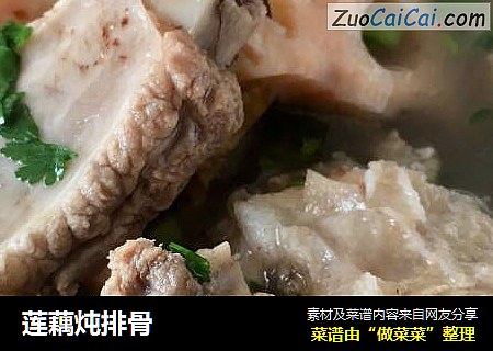 莲藕炖排骨