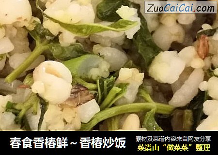 春食香椿鲜～香椿炒饭