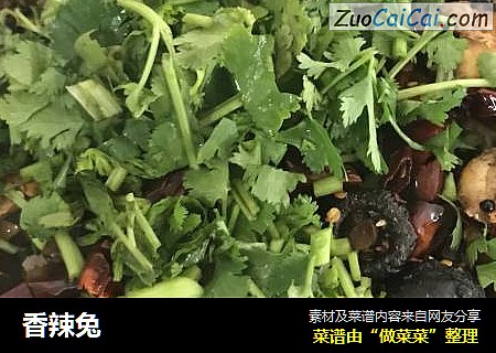 香辣兔