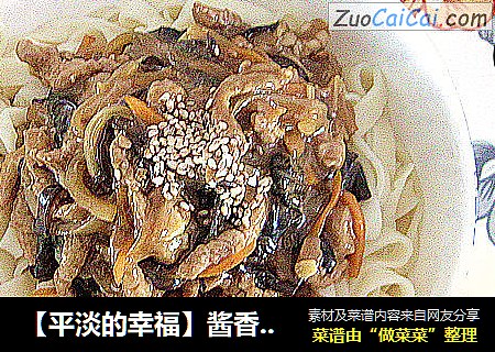 ［平淡的幸福］酱香肉丝面