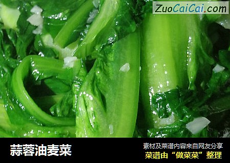 蒜蓉油麦菜