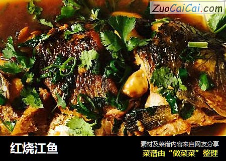 红烧江鱼