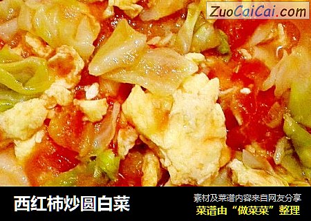 西红柿炒圆白菜