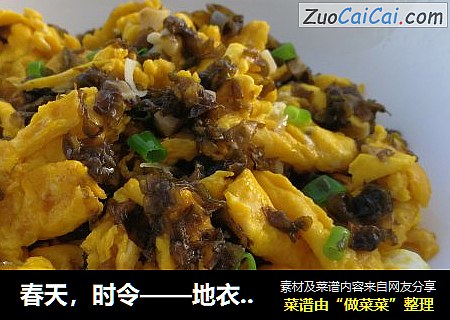春天，时令——地衣炒鸡蛋