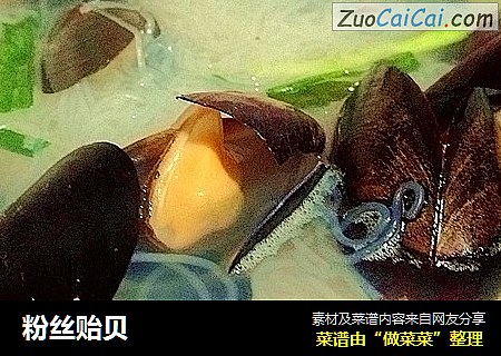 粉丝贻贝