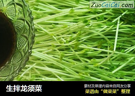 生拌龙须菜