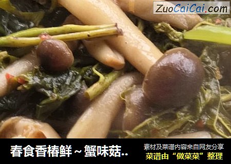 春食香椿鲜～蟹味菇烧香椿