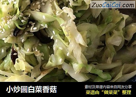 小炒圆白菜香菇