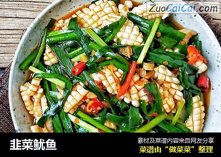 韭菜鱿鱼
