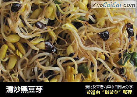 清炒黑豆芽