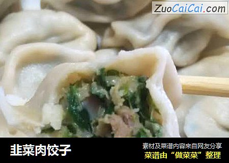 韭菜肉饺子