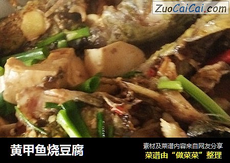 黄甲鱼烧豆腐