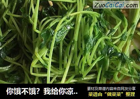 你饿不饿？我给你凉拌个春天吃？