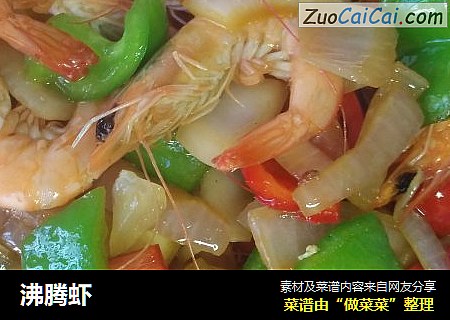 沸腾虾