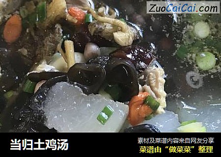 当归土鸡汤