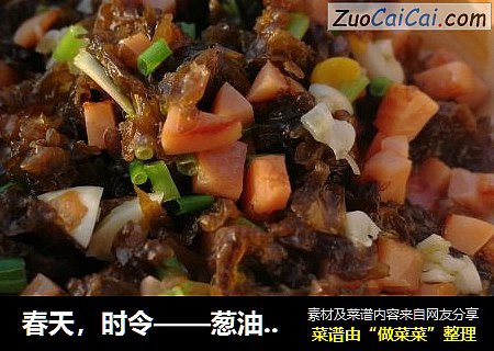 春天，时令——葱油火腿地衣