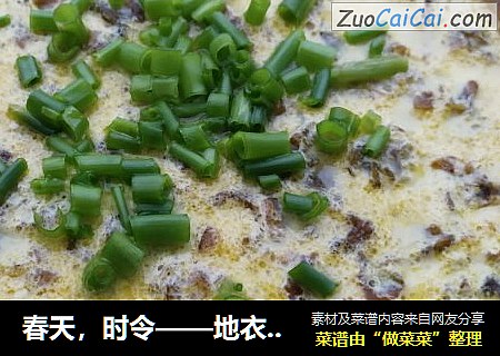 春天，时令——地衣水蒸蛋