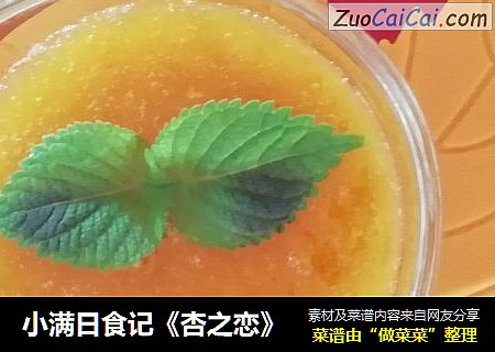 小满日食记《杏之恋》