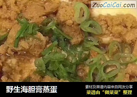 野生海胆膏蒸蛋