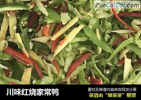 川味红烧家常鸭