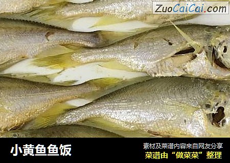 小黄鱼鱼饭