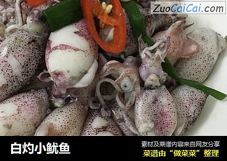 白灼小鱿鱼