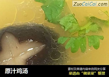 原汁鸡汤